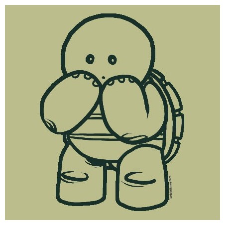 "Shy Turtle" shirt
